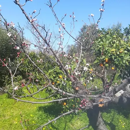 La Stella