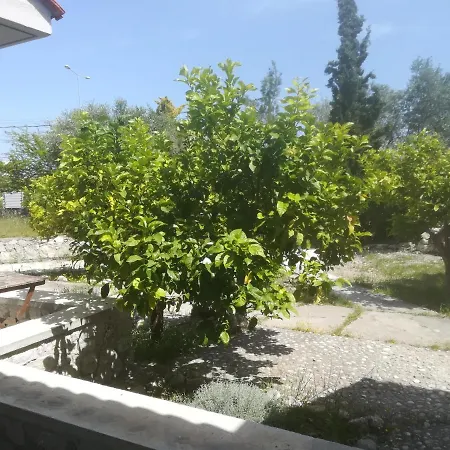 Lägenhet La Stella Afantou